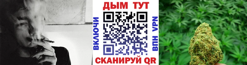 Канабис семена  Купить где  Канаш 